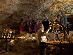 Naracoorte Caves National Park - eAccommodation 0