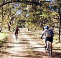 Bike About Mountain Bike Tours And Hire - eAccommodation