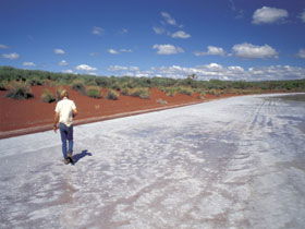 Lake Gairdner National Park - eAccommodation 0