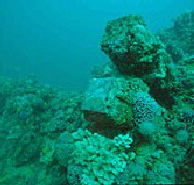 Adelaide's Underwater Heritage Trail - eAccommodation
