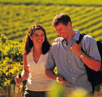 Lady Bay Vineyard - eAccommodation