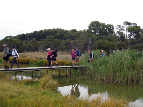 Lavender Federation Trail - eAccommodation 1