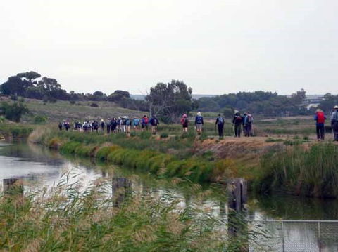 Lavender Federation Trail - eAccommodation 2
