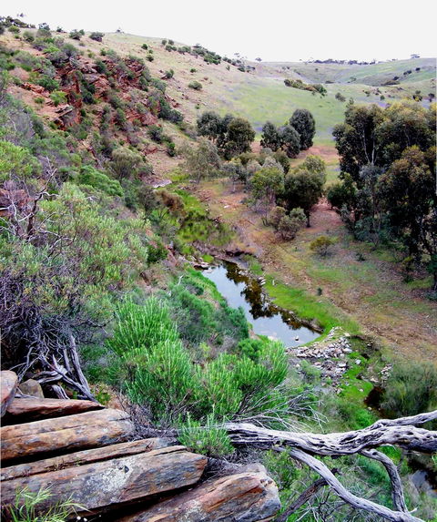 Lavender Federation Trail - eAccommodation 3