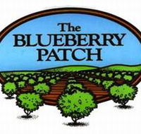 The Blueberry Patch - eAccommodation
