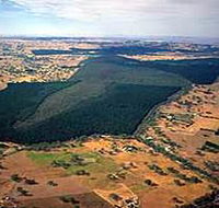 Mount Crawford Forest Reserve - eAccommodation