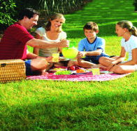 Bruny Island Berry Farm - eAccommodation