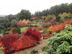 Emu Valley Rhododendron Garden - eAccommodation 0