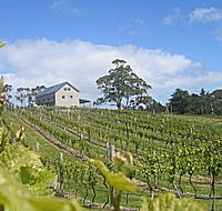 Bruny Island Premium Wines Bar and Grill - eAccommodation