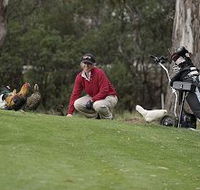 Tasmania Golf Club - The - eAccommodation