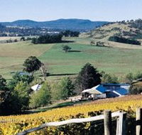 Freycinet Vineyards Pty Ltd - eAccommodation