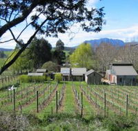 Wilmot Hills Vineyard - eAccommodation