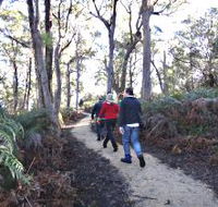 Bridport Walking Track - eAccommodation