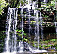 Mt Field National Park - eAccommodation