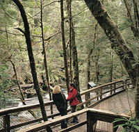 Franklin River Nature Trail - eAccommodation