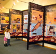 Platypus Experience - eAccommodation