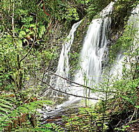 Hogarth Falls - eAccommodation