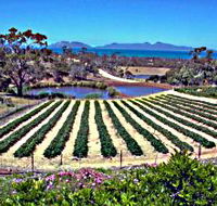Kate's Berry Farm - eAccommodation