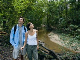 Mooloolah River National Park, Jowarra Section - eAccommodation 0