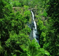 Kondalilla National Park - eAccommodation