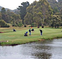 Penguin Golf Course - eAccommodation
