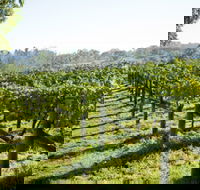 Surveyor's Hill Vineyards - eAccommodation