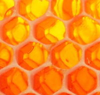 The Honey Pot - eAccommodation