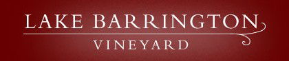 Lake Barrington Estate Vineyard - eAccommodation 0