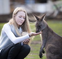 Bonorong Wildlife Sanctuary - eAccommodation