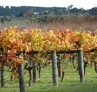 Apsley Gorge Vineyard - eAccommodation