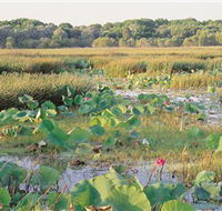 Fogg Dam Conservation Reserve - eAccommodation