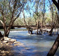 Low Level Nature Reserve - eAccommodation