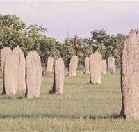 Magnetic Termite Mounds - eAccommodation