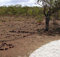 Wurrwurrwuy Garanhan Macassan Beach Interpretive Walk - eAccommodation