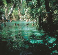 Mataranka Thermal Pool - eAccommodation