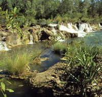 Flora River Nature Park - eAccommodation