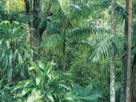 Westside Track, Maiala - eAccommodation 0