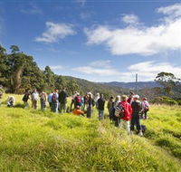 Apple Tree Park - eAccommodation