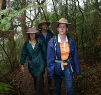 Mount Cougal Springbrook National Park - eAccommodation