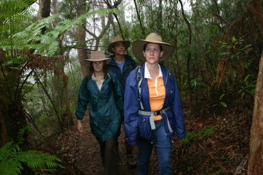 Mount Cougal, Springbrook National Park - eAccommodation 0