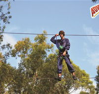 Adventure Parc at Currumbin Wildlife Sanctuary - eAccommodation