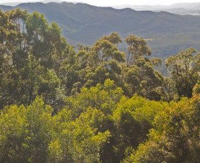 Booroobin QLD eAccommodation