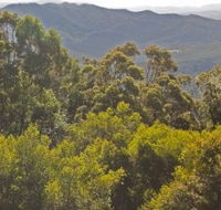 Conondale National Park - eAccommodation