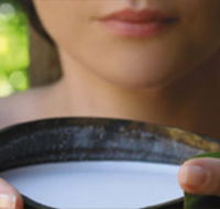 Ikatan Day Spa - eAccommodation