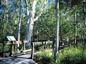 Noosa Heads QLD eAccommodation