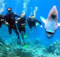 Magic Mountain Dive Site - eAccommodation