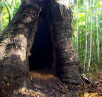 Tewantin National Park - eAccommodation