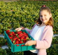 Strawberry Fields - eAccommodation