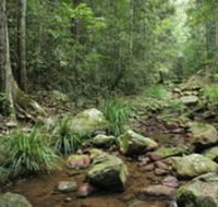 Amamoor State Forest - eAccommodation