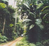 Conondale Great Walk - eAccommodation